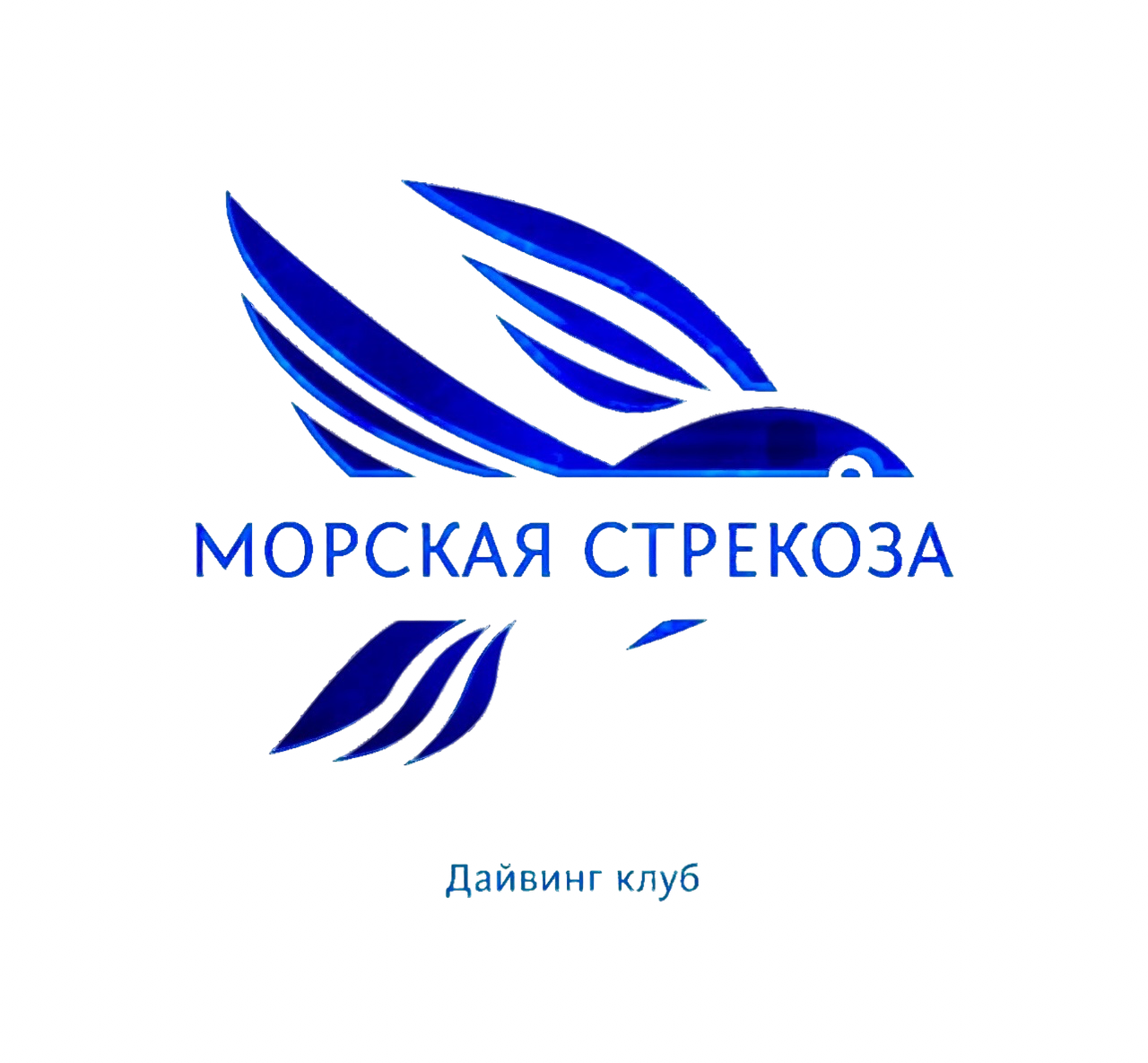 Дайвинг клуб в Краснодаре 